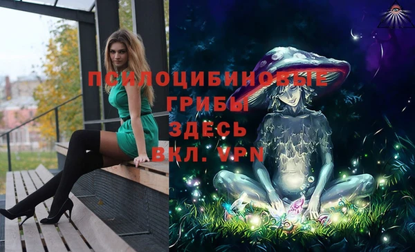 сатива Саяногорск